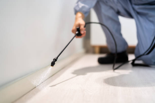 Licensed Fumigation Services service in Chevy Chase, MD - Nex Pest Control