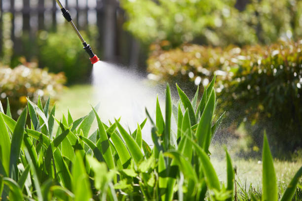 24/7 Emergency Fumigation Services experts in Chevy Chase, MD