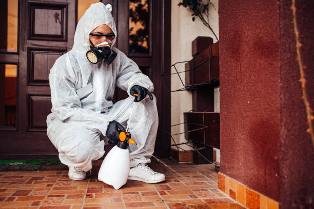 Reliable Fumigation Services contractor in Chevy Chase, MD by Nex Pest Control
