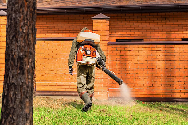 Trusted Fumigation Services service in Chevy Chase, MD - Nex Pest Control